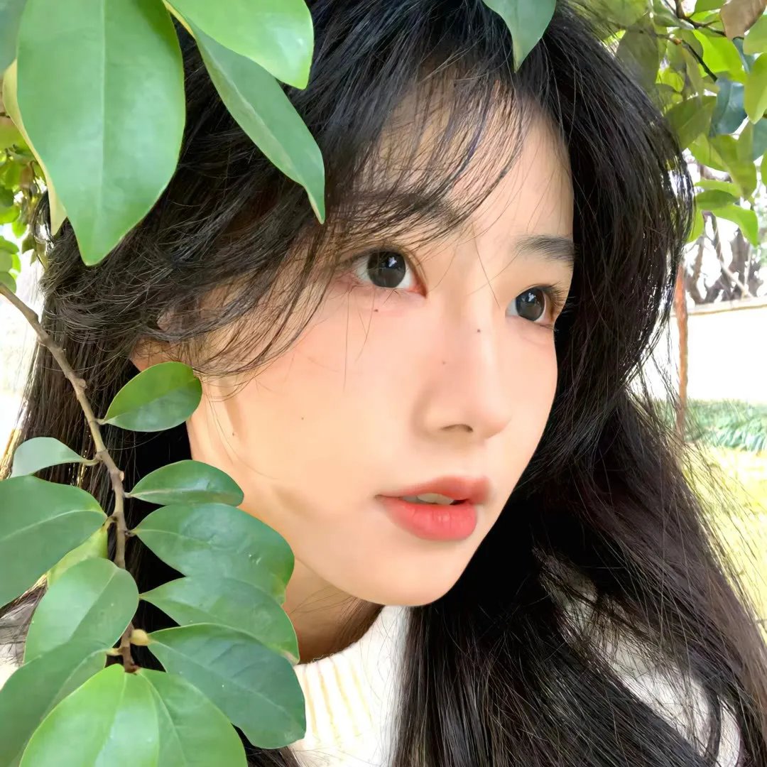 安东与安东妮
